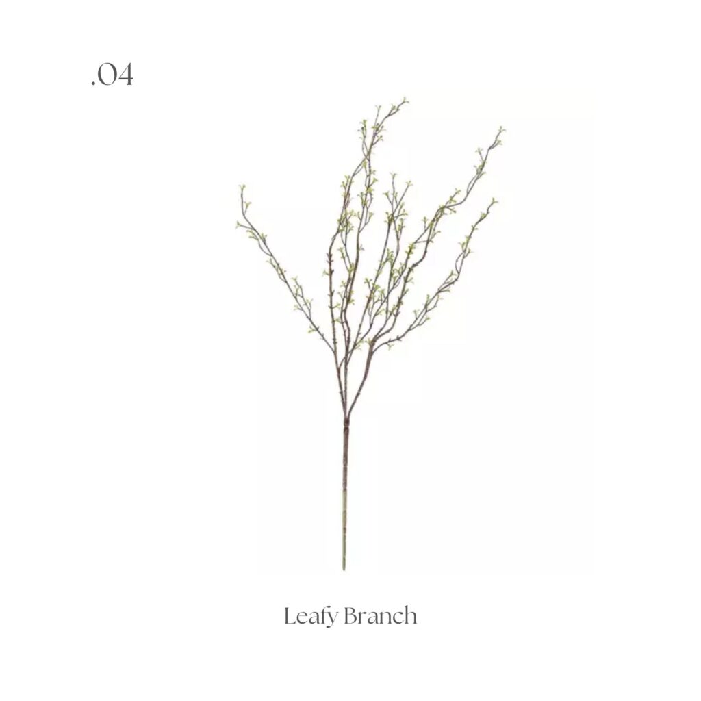 Spring Branch