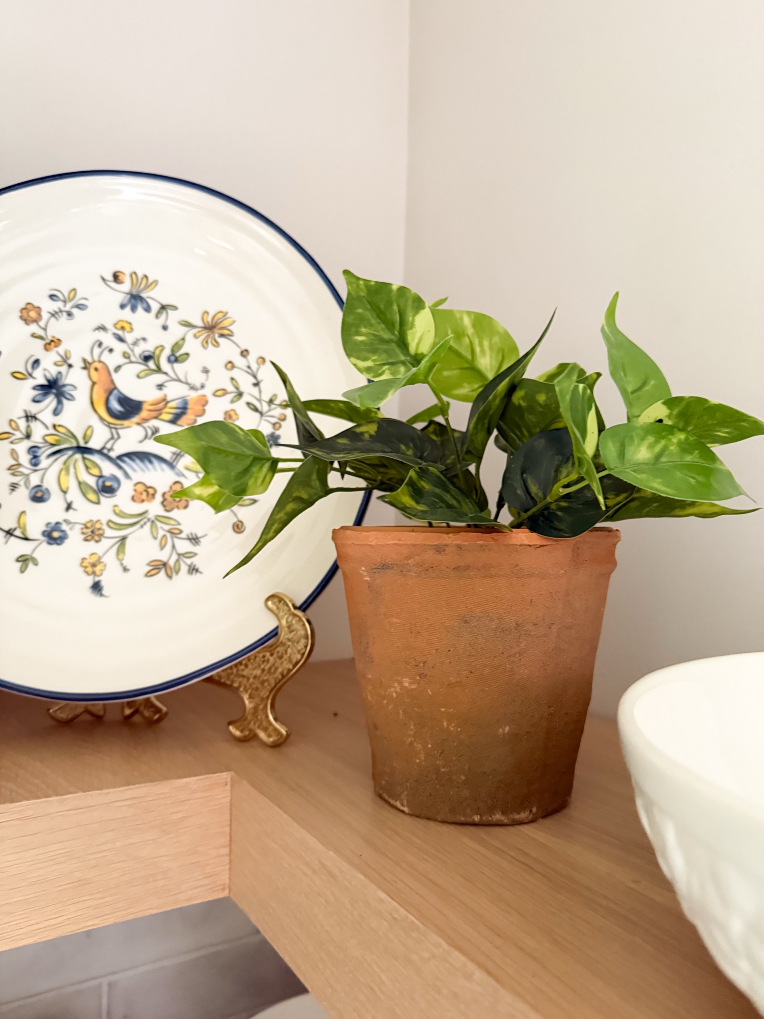 Amalfi inspired platter and plant 